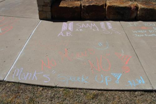 SAAM Student Chalk 14