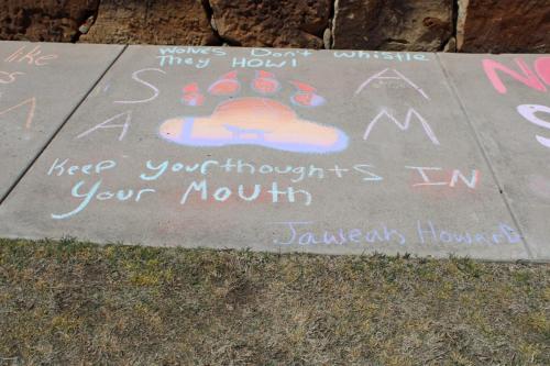 SAAM Student Chalk 2