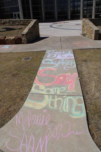 SAAM Student Chalk 9